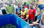 Okaikoi Central MP Hands Over 10 Tarpaulin Fish Ponds With Fingerlings To Youth Groups