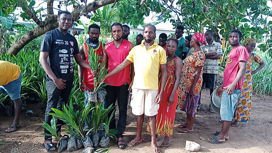 Western North: Bibiani Newtown Electoral Area Assembly Member Donates 4000 Palm Seedlings To Farmers