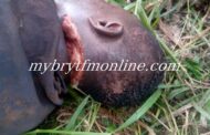 E/R: Farmer Allegedly Butchered By Suspected 'Wee' Smoker Over Ghc70