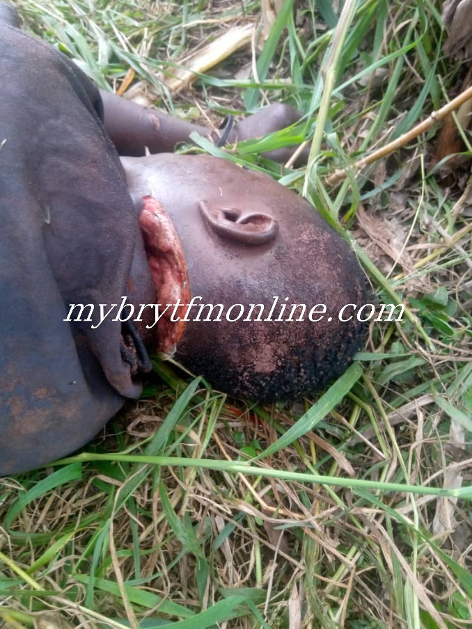 E/R: Farmer Allegedly Butchered By Suspected 'Wee' Smoker Over Ghc70