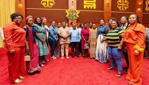 Jubilee House: Akufo-Addo Underscores Importance Of Party Organisers In The 2024 Elections