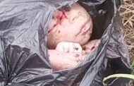 Bono Region: Newly Born Baby Found Dead In  A Polythene Bag At Nkrankwanta District Hospital