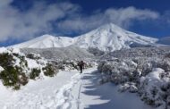 Mount Taranaki: Climber Survives 600m Fall With Minor Injuries