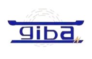 GIBA Expresses Disapproval Of NMC's Actions Against Onua TV And Onua FM