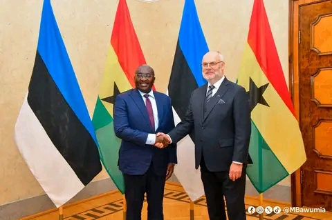 Bawumia Holds Bilateral Talks With Estonia President