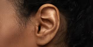 The Ear Is Very Sensitive, Protect It - Public Urged