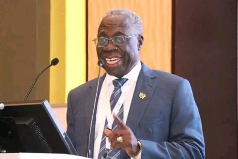 Only Energy Minister Can Order 'Dumsor' Timetable – Osafo-Maafo
