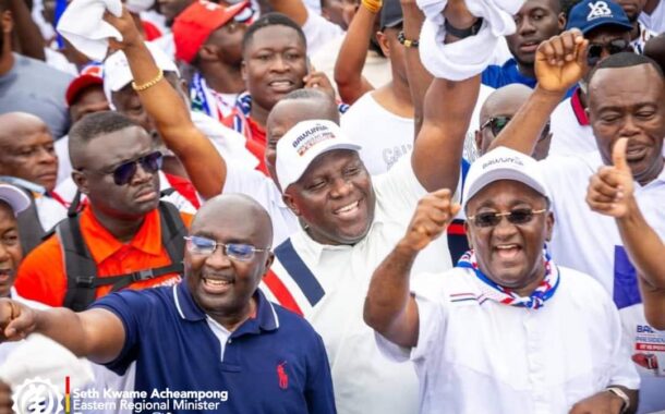 You Can Enter Into Romantic Relationships To Bring Votes To NPP -Minister To Polling Station Executives