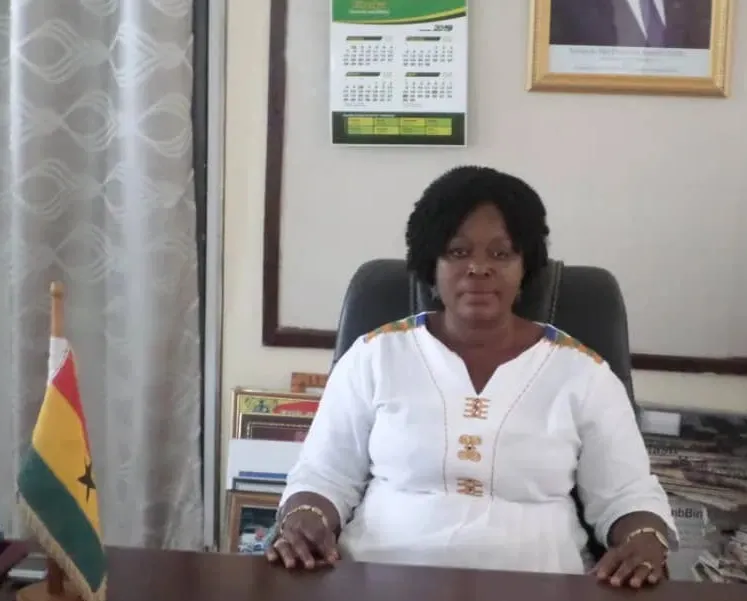 NDC Condemns Suhum MCE's Baseless Allegations Against Mahama, Calls For Investigation