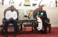 Asamoah Gyan Meets Zimbabwe President Mnangagwa