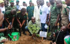 Damango Goes Green To Become Greenest City In Ghana
