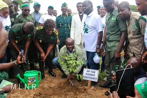 Damango Goes Green To Become Greenest City In Ghana