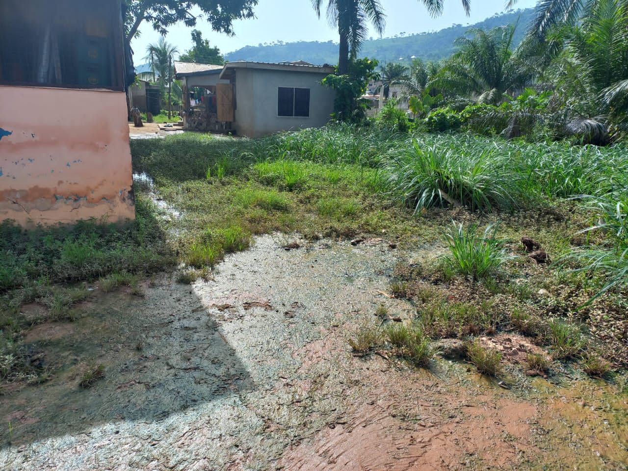 New Juaben South: Help Us Avoid Annual Flooding Woes - Ada Electoral Area Assembly Member