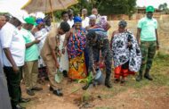 B/R:Public Cautioned Against Indiscriminate Cutting Down Of Trees