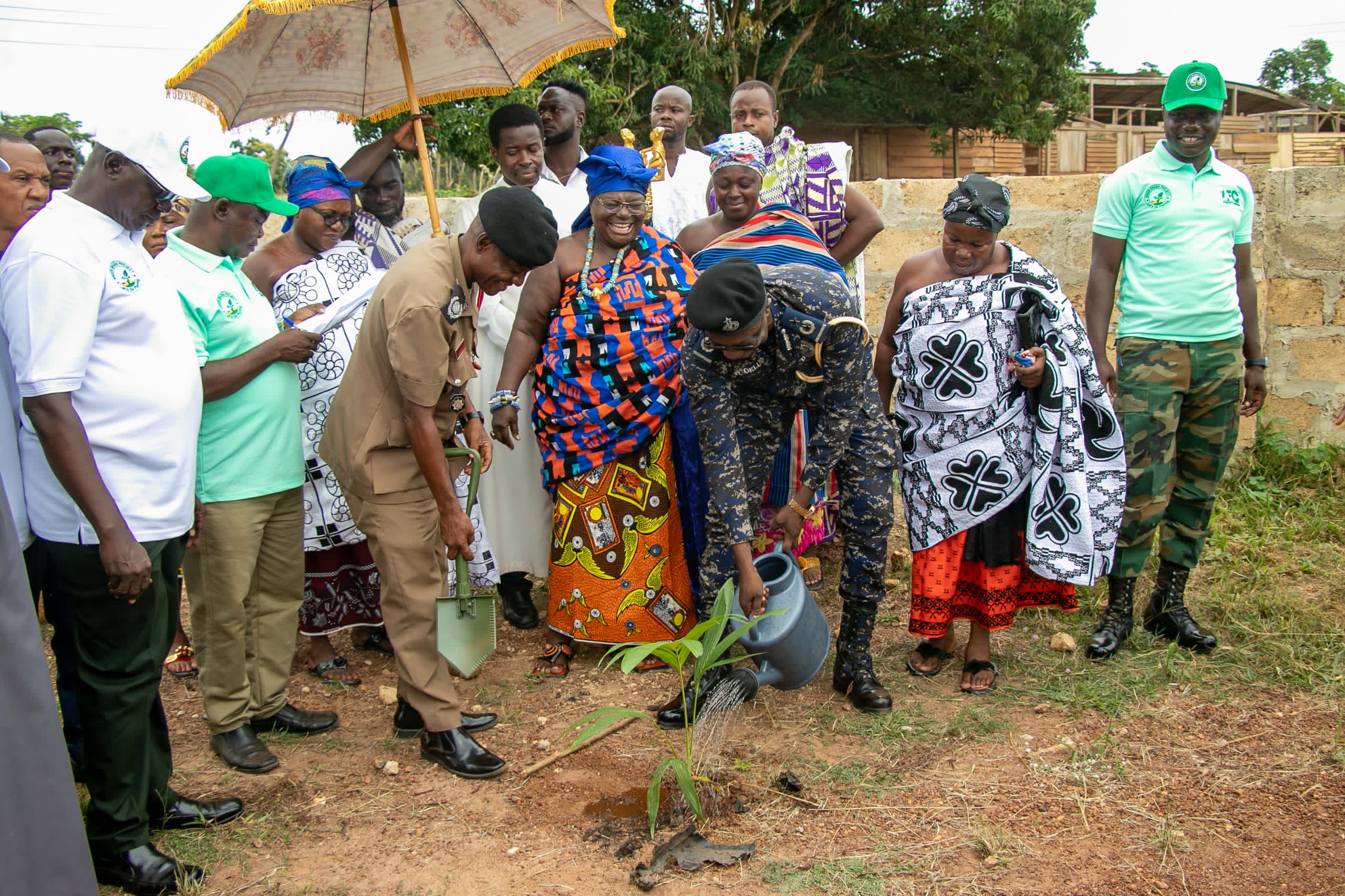 B/R:Public Cautioned Against Indiscriminate Cutting Down Of Trees