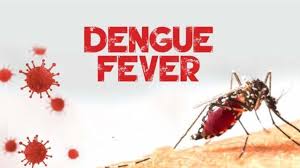 Dengue Fever Cases Increase To 36 - GHS