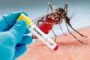 Dengue Fever:Eastern Region Cumulative Number Of Confirmed Cases Now 45