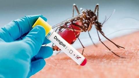 Dengue Fever:Eastern Region Cumulative Number Of Confirmed Cases Now 45