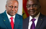 NDC Most Likely To Win December Elections - Fitch Solutions