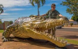 British Croc Expert Jailed For Sexual Abuse Of Dogs