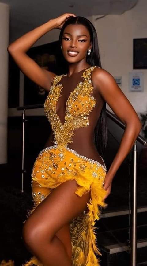 Chidimma Adetshina Crowned Miss Universe Nigeria 2024