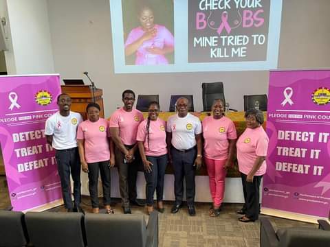 Parliamentary Staff Benefits From Breast Health Awareness Seminar