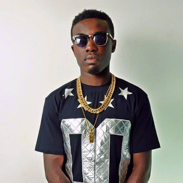 We Have Been Under Military Rule For The Past 8 Years - Criss Waddle To Akufo-Addo