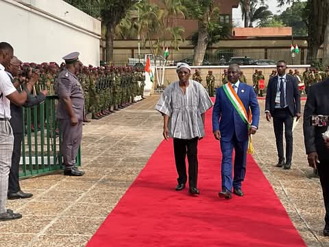 Speaker Bagbin Calls For Pan-African Cooperation To Strengthen Democracy