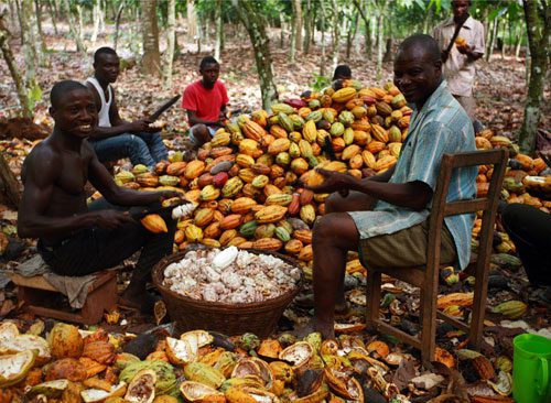 “Stop Blaming Farmers For Cocoa Smuggling” – Ghana Cocoa Farmers President Fires Back