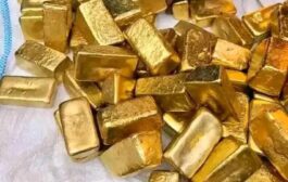 Malian Junta Seizes God Stocks Of Canadian Mining Company