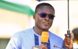 Election 2024 Defeat: Former MCE Proposes Expansion Of NPP's Electoral College