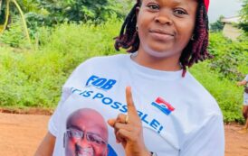 Fight Against Corruption: Declaration of Assets Not Enough - NPP Communication Team Member Hints