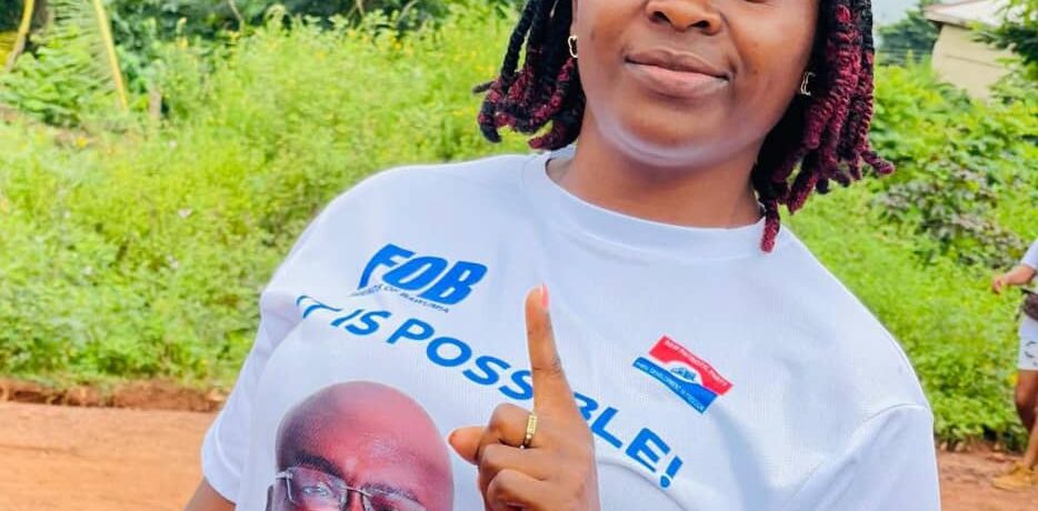 Fight Against Corruption: Declaration of Assets Not Enough - NPP Communication Team Member Hints