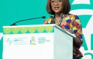 Abena Osei Asare Response To Government’s 2025 Big Push Budget