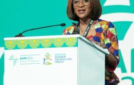 Abena Osei Asare Response To Government’s 2025 Big Push Budget