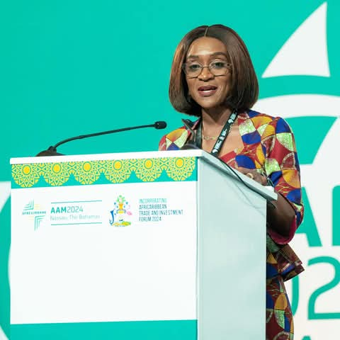 Abena Osei Asare Response To Government’s 2025 Big Push Budget