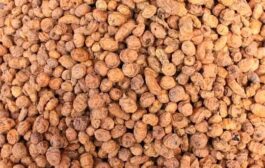 Tiger Nut Farmers Demand Gov't Support For A Factory