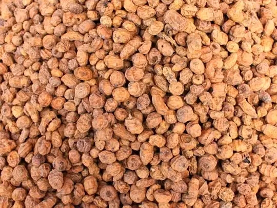 Tiger Nut Farmers Demand Gov't Support For A Factory