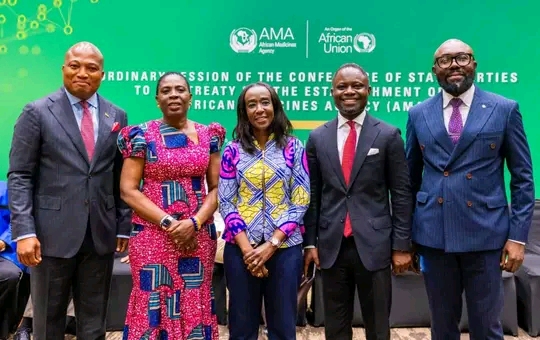 Ghana's FDA Boss Now Director General Of AMA