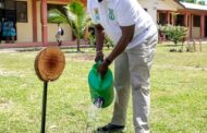 Ghanaians Urged To Embrace 'Tree For Life' Initiative