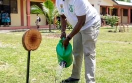 Ghanaians Urged To Embrace 'Tree For Life' Initiative