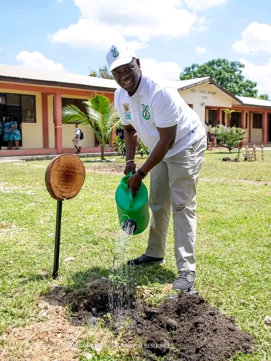 Ghanaians Urged To Embrace 'Tree For Life' Initiative