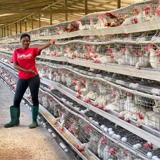The NDC 'Nkoko Nketenkete' Policy Will Enhance Poultry Production - Poultry Farmer