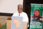 Speaker Bagbin Hails Niger’s Democratic Rebirth, Pledges Ghana’s Continued Support