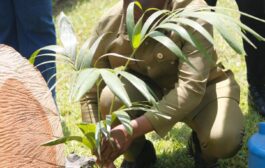 E/R: Samuel Adongo Participates In Tree For Life Initiative