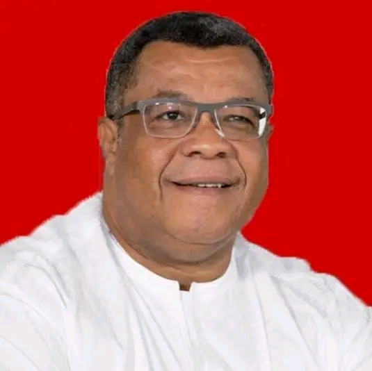 Goosie Tanoh Backs Mahama’s Commitment To Governance And Reform