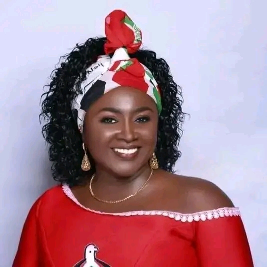 Ablekuma North Election Re-Run: NDC Won The Seat Fairly - Hanna Bisiw