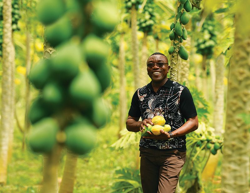 Blue Skies Mourns Passing of Chief Agronomist Ernest Adjei Abloh