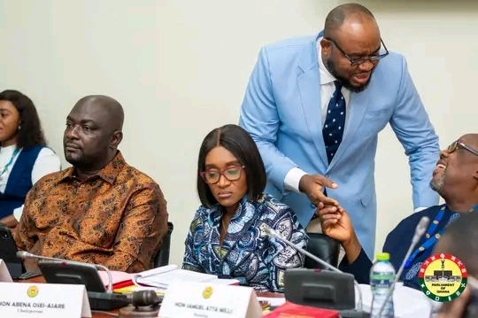 PAC: Chairperson Pledges To Continue The Good Work Of Her Predecessor, James Kwame Avedzi