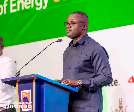 Governments In Africa Must Provide Clear Policy Direction On Energy Sustainability - John Jinapor